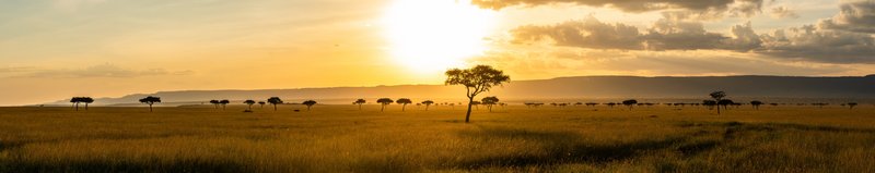 Mathias - stock.adobe.com