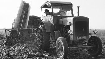Inclined conveyor belt used in agriculture, May 1956