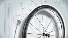 Double award for Continental tires made from dandelion rubber